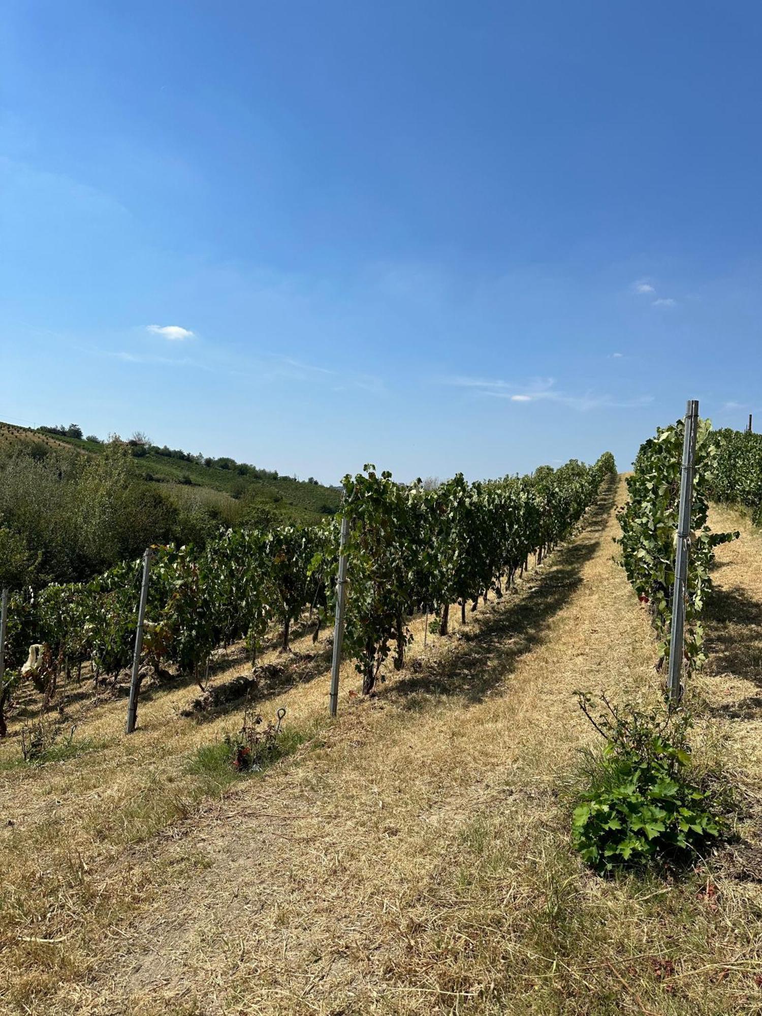 Cadgal - Tenuta La Cova Calamandrana Buitenkant foto